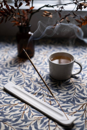 10 Seaweed Incense Sticks in an Illustrated Pack - Hauslife