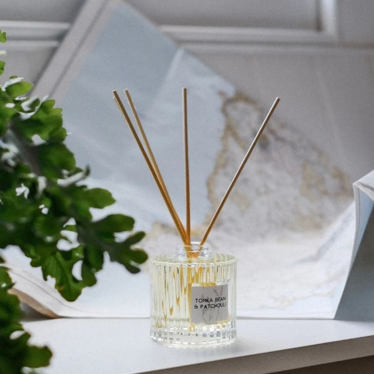 170ml Ribbed Glass Reed Diffusers – Hauslife