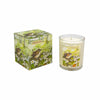 20cl Aromapot Candles - Summer Range - Hauslife