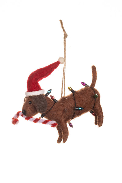 A brown felt dachshund Christmas ornament wearing a red Santa hat and wrapped in multicolored holiday lights, holding a candy cane, on a white background.