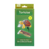 3D Animal Model Kit - Tortoise - Hauslife
