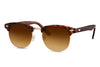 Indie Sunglasses - Tortoiseshell