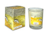 9cl Scented Votive Candle - Spring/Summer Range - Hauslife