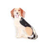Beagle Hair Claw Clip - Hauslife