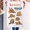 Beavers Cotton Tea Towel - Hauslife