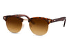 Clubmaster Style Sunglasses - Hauslife