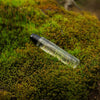 Desert Kush - elsewhere Eau de Parfum - 15ml Travel Sprayer - Hauslife