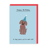 Dog Years Birthday Card - Hauslife