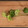 Green Viburnum Spray - Hauslife