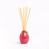 Mango Papaya 100ml Diffuser - Hauslife
