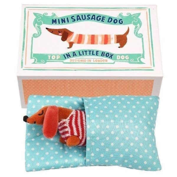 Mini Sausage Dog In A Little Box - Hauslife