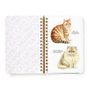 Moody Cats Sticker Book (Sticker Book or Pack) - Hauslife