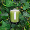 NEW! Green Botanical 20cl Candle - Hauslife