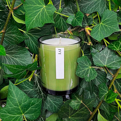 NEW! Green Botanical 20cl Candle - Hauslife