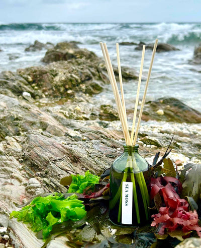 NEW! Green Botanical Range 100ml Reed Diffuser - UK ONLY - Hauslife