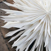 Reef Paper Snowflake - Hauslife