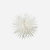 Reef Paper Snowflake - Hauslife