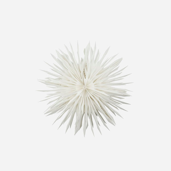 Reef Paper Snowflake - Hauslife