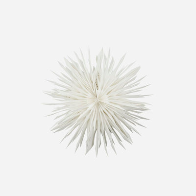 Reef Paper Snowflake - Hauslife