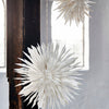 Reef Paper Snowflake - Hauslife