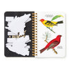 Salty Birds Sticker Book (Sticker Book or Pack) - Hauslife