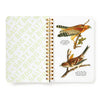 Salty Birds Sticker Book (Sticker Book or Pack) - Hauslife