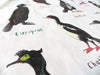 Shags Bird Cotton Tea Towel - Hauslife