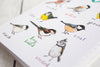 Tits A5 Recycled Bird Notebook - Hauslife