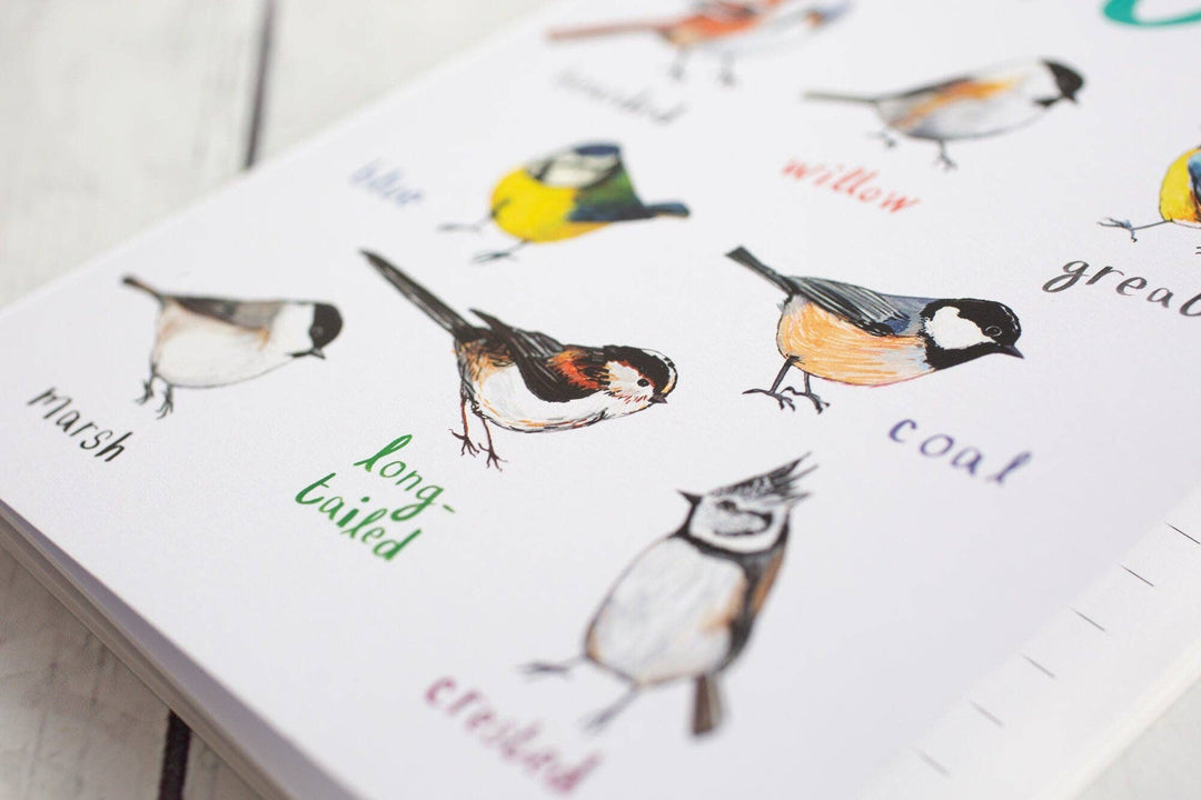 Tits A5 Recycled Bird Notebook - Hauslife