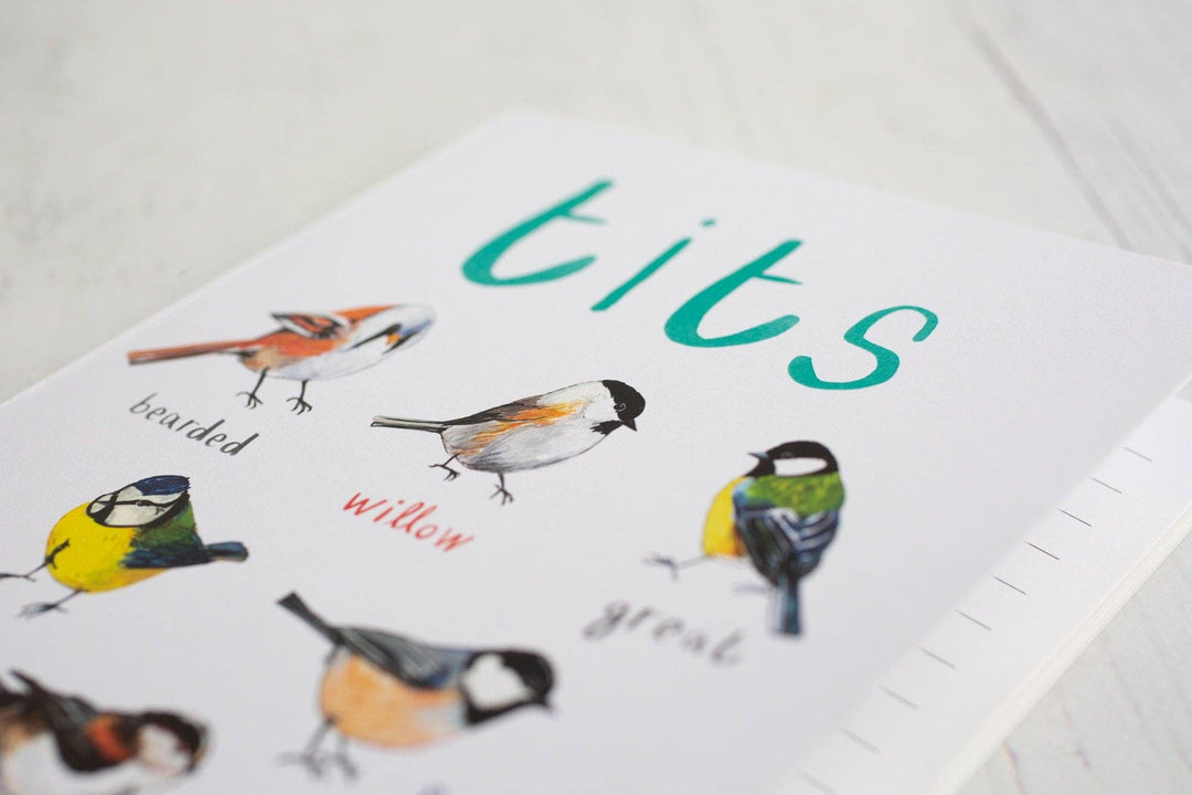 Tits A5 Recycled Bird Notebook - Hauslife