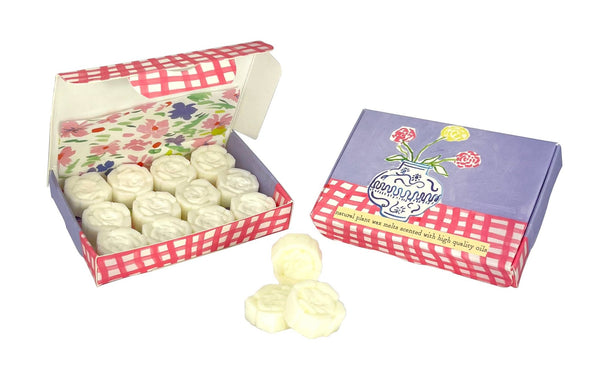 Wax Melt Shapes in Illustrated Boxes - Hauslife