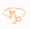 Zodiac Ring - Hauslife
