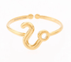 Zodiac Ring - Hauslife