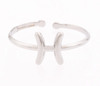 Zodiac Ring - Hauslife